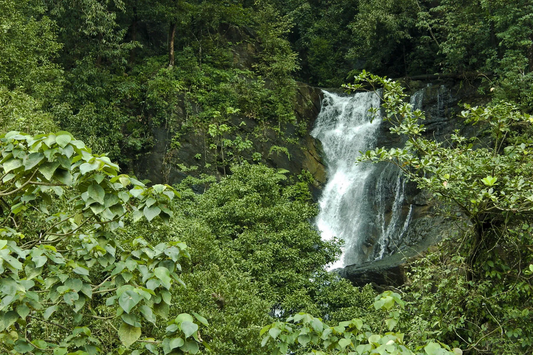 Kadambi Falls