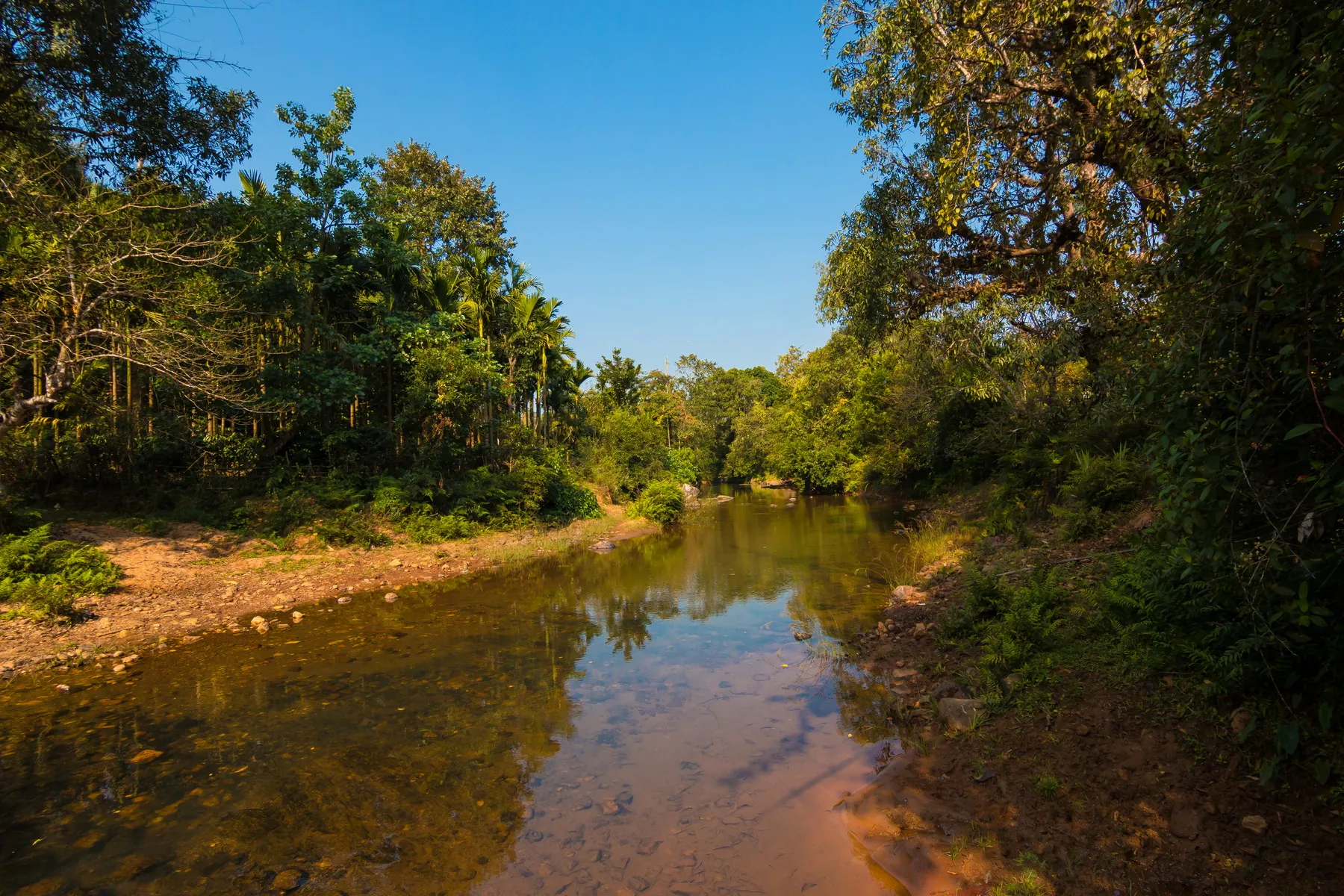 Chandranatha Basadi, Kalasa