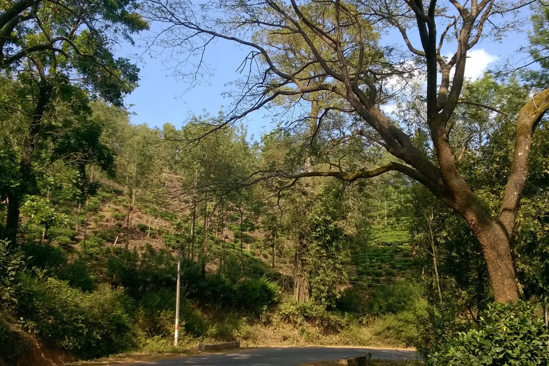 Kopada Veerabhadra Temple, Koppa