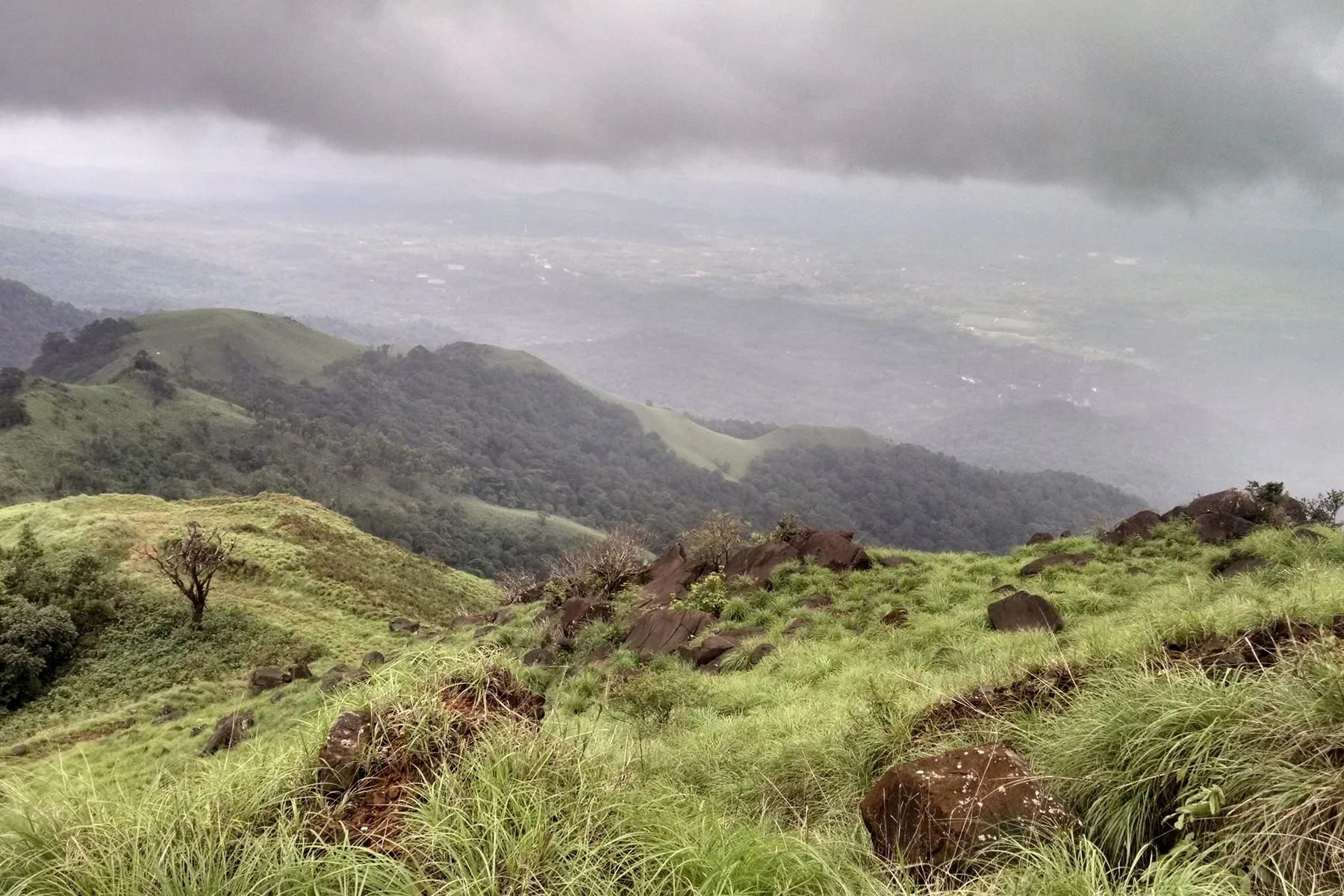 Kurinjal Peak