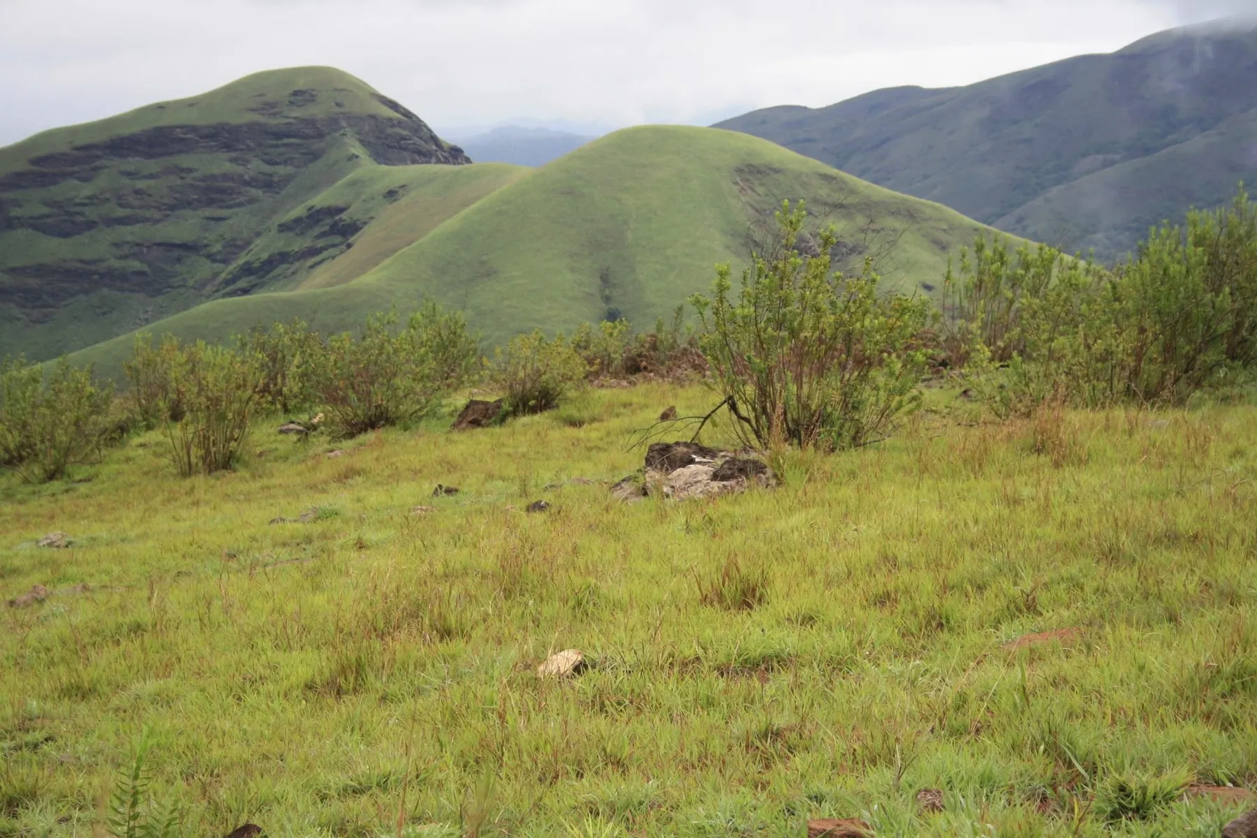Panchami Kallu