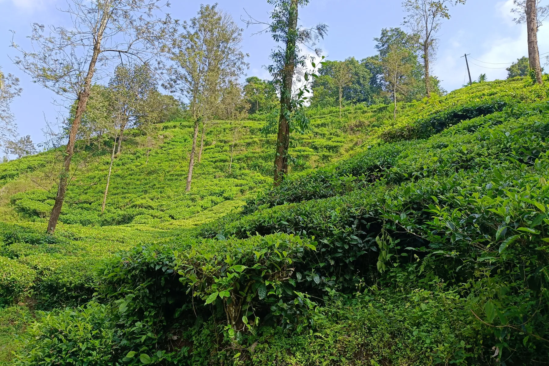 Sarva Siddhi Ganapathi Temple, Samse